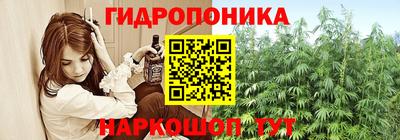 гидра Краснокаменск