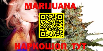 гидра Краснокаменск