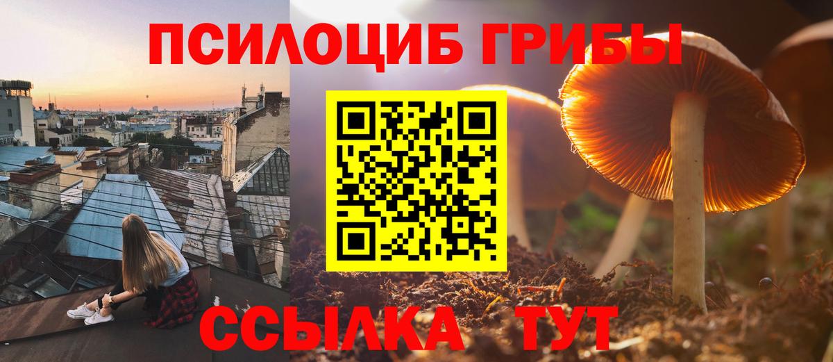 Галлюциногенные грибы мицелий Каменск-Шахтинский